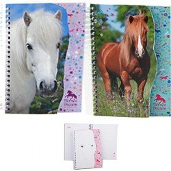Lot de 2 carnets motif cheval