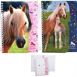 Lot de 2 carnets motif cheval
