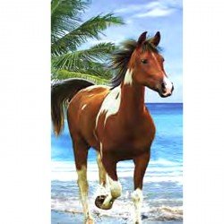 Serviette de plage Cheval Pie