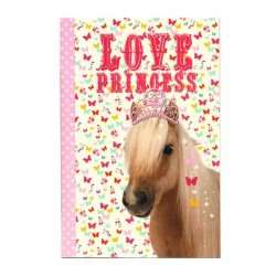 Carnet Poney Princesse A6