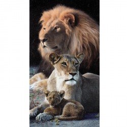 Serviette de plage Lions en famille