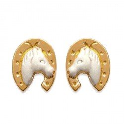 Boucles d'oreilles Tête cheval dans fer bicolore