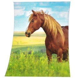 Plaid Cheval au pré