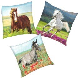 Coussin Cheval blanc