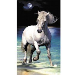 Serviette de plage Cheval Lune