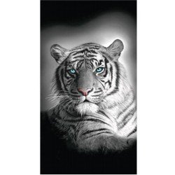 Serviette de plage Tigres du Bengale - 75 x 150 cm