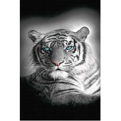Grand Drap de plage Tigre du Bengale -140 x 180