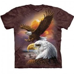 Tee shirt Aigles majestueux