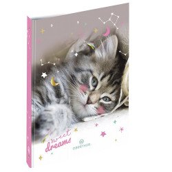 Classeur Chat Dream