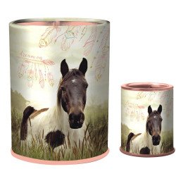 Pot à crayons et taille crayons Cheval Pie