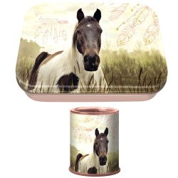 boite à bons points et taille crayons cheval pie