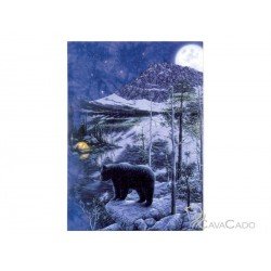 Carte + enveloppe  - Ours brun