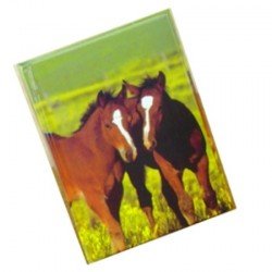 Journal intime chevaux