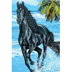 Grand Drap de plage Cheval noir - 140 x 180