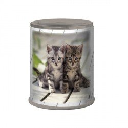 Taille crayons Chatons