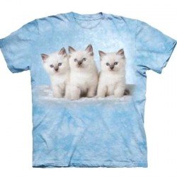 Tee shirt enfant Chat - Cloud kittens