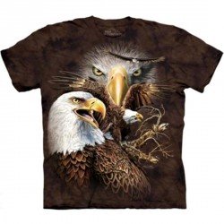 Tee shirt 14 Aigles