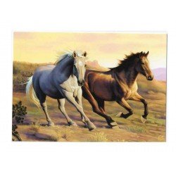 Carte + enveloppe  - Chevaux dans la plaine