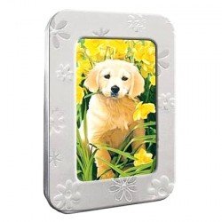 Boite déco chiens fleurs avec 12 cartes