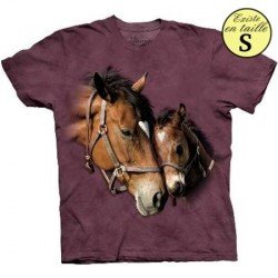 Tee shirt Chevaux 2 coeurs