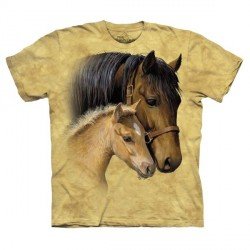 Tee shirt Chevaux Tendresse