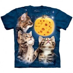 Tee shirt Chat - trois petits chats