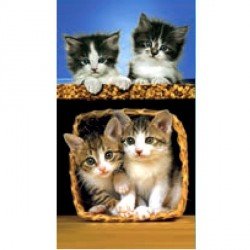 Serviette de plage Chats dans panier