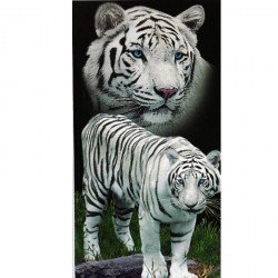 Serviette de plage Tigres blancs