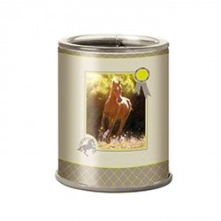 Taille crayons Cheval Horse Club