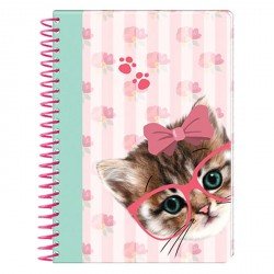Carnet Chat Sweet Kitten A6